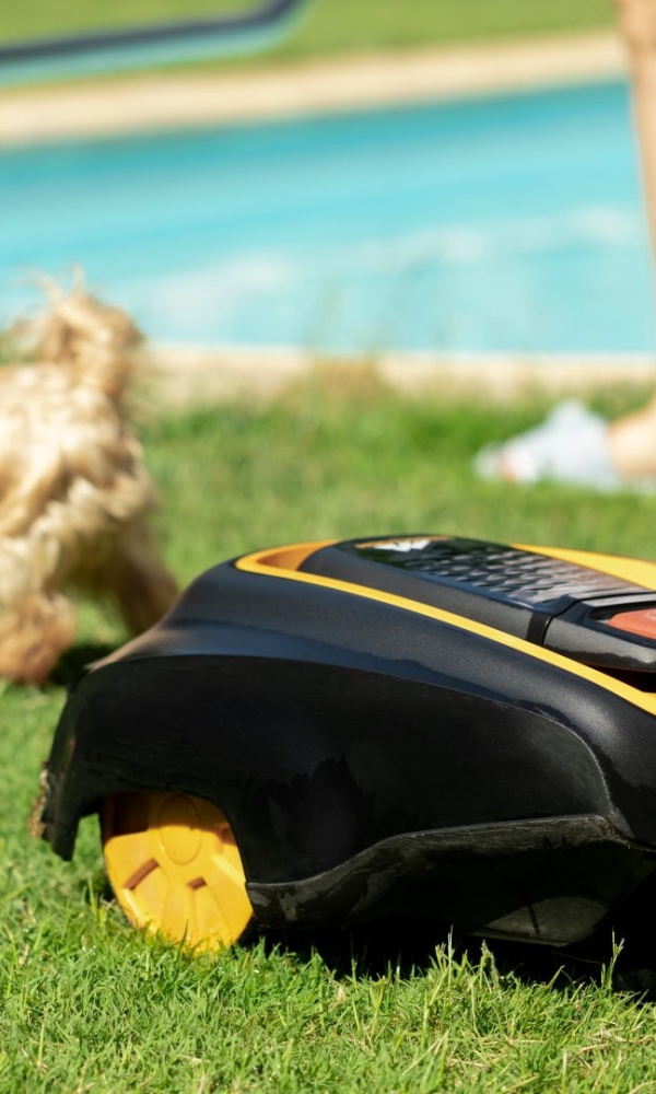 Ein Mähroboter fährt über eine grüne Rasenfläche. Daneben läuft ein kleiner Hund mit hellem Fell. Im Hintergrund sitzt eine Person mit nackten Beinen am Rand eines Swimmingpools.