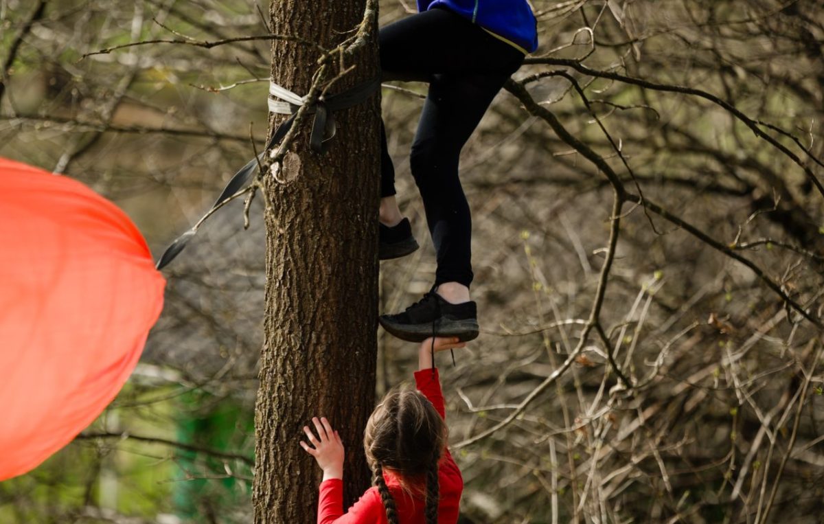 Kind klettert auf Baum