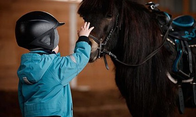 Das Leben ist ein Ponyhof! Das Leben ist ein Ponyhof!