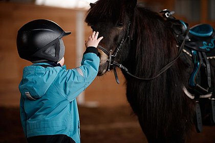 Das Leben ist ein Ponyhof!
