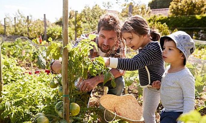 Giftige Pflanzen und Beeren im Garten