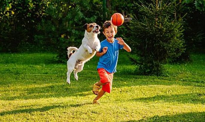 Kinder & Hunde