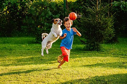 Kinder & Hunde