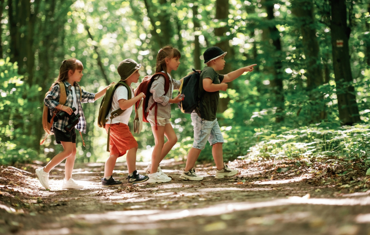 Vier Kinder mit Rucksäcken wandern auf einem Waldweg, eines zeigt nach vorne, während die anderen interessiert folgen.